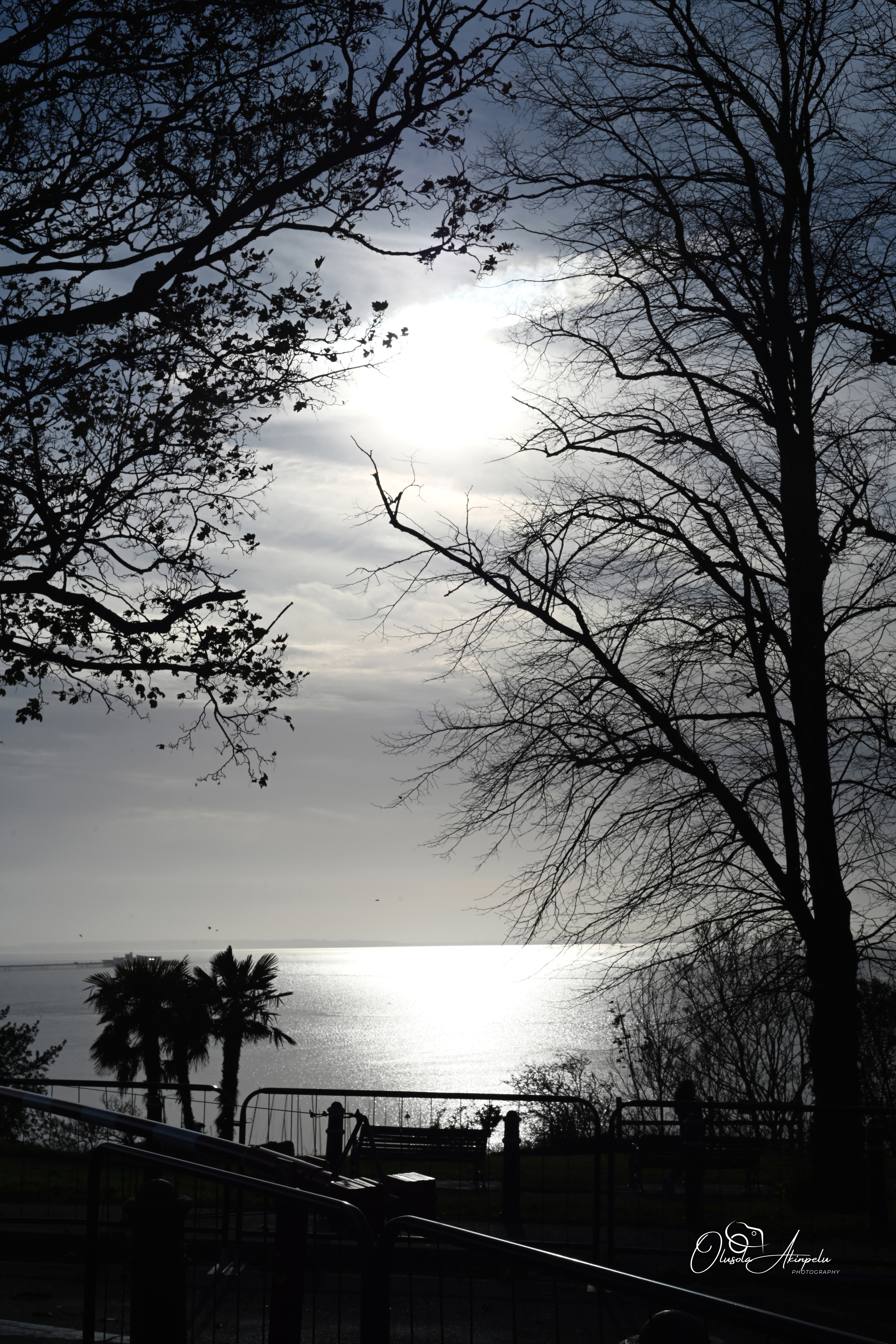 Silver Horizon