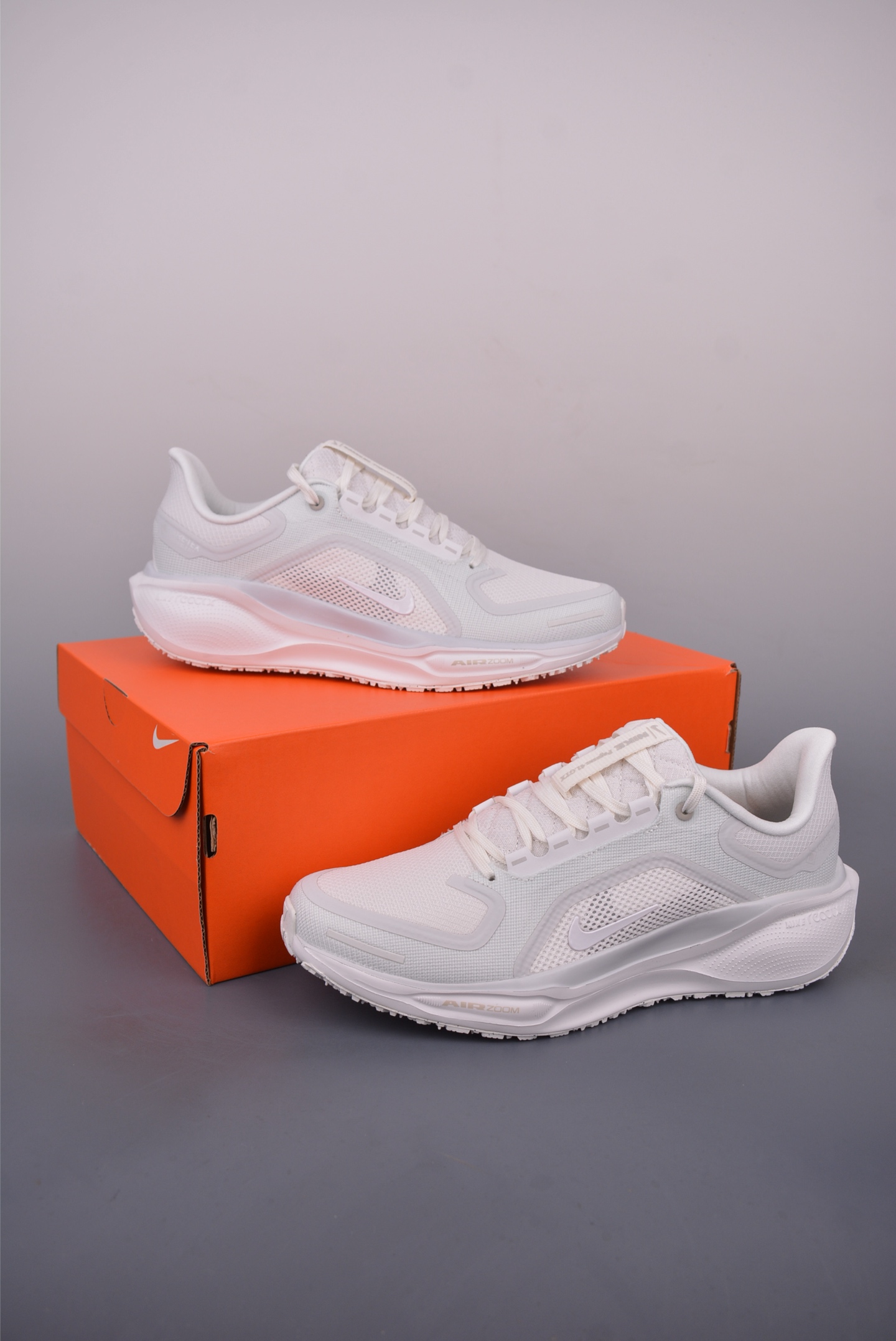 Air Zoom Pegasus 41 FQ1356-101