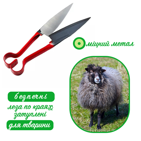 Ножиці для стрижки овець, Німеччина