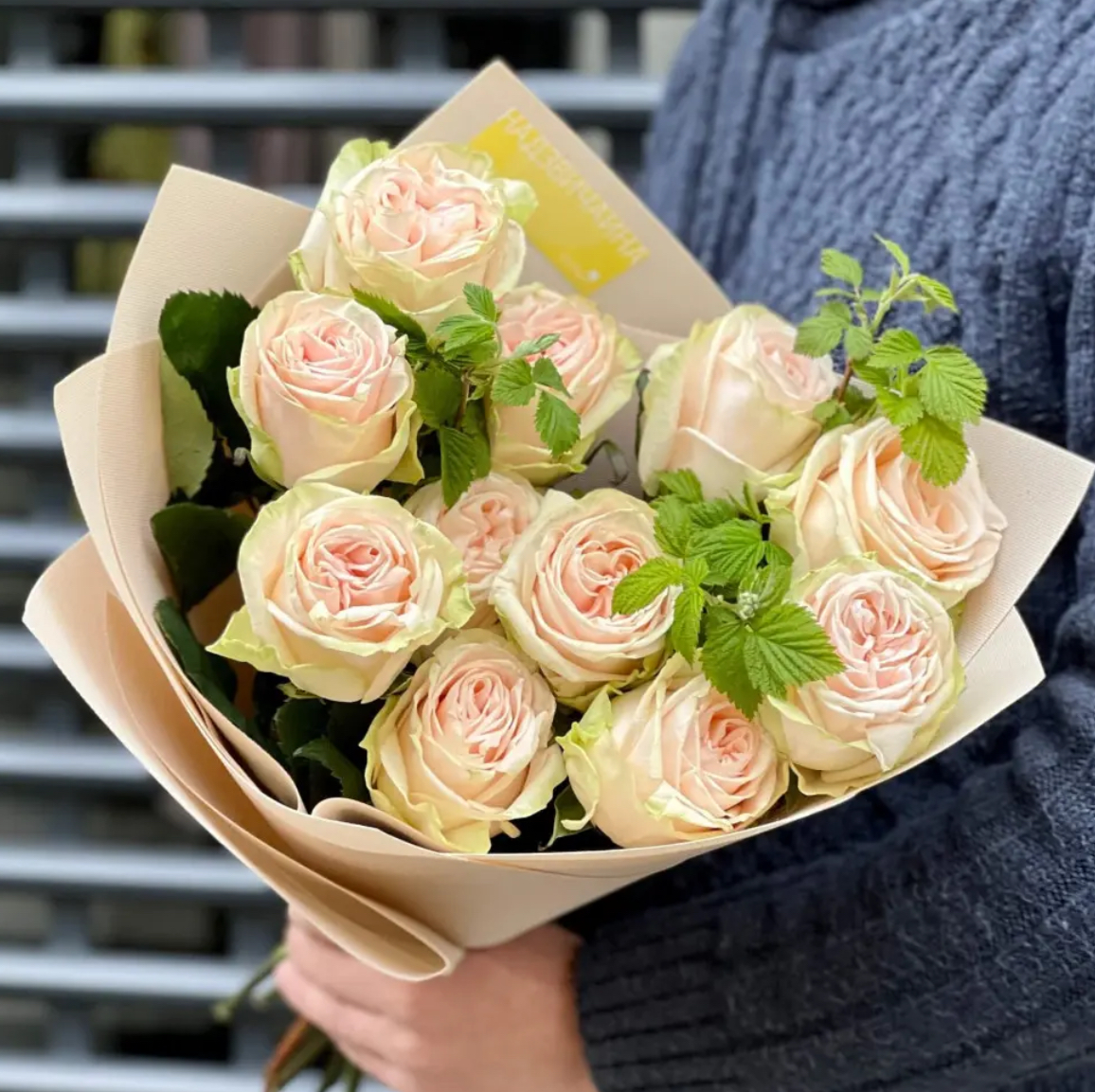 Троянда спіріт гарбен 2р (ЗКС)