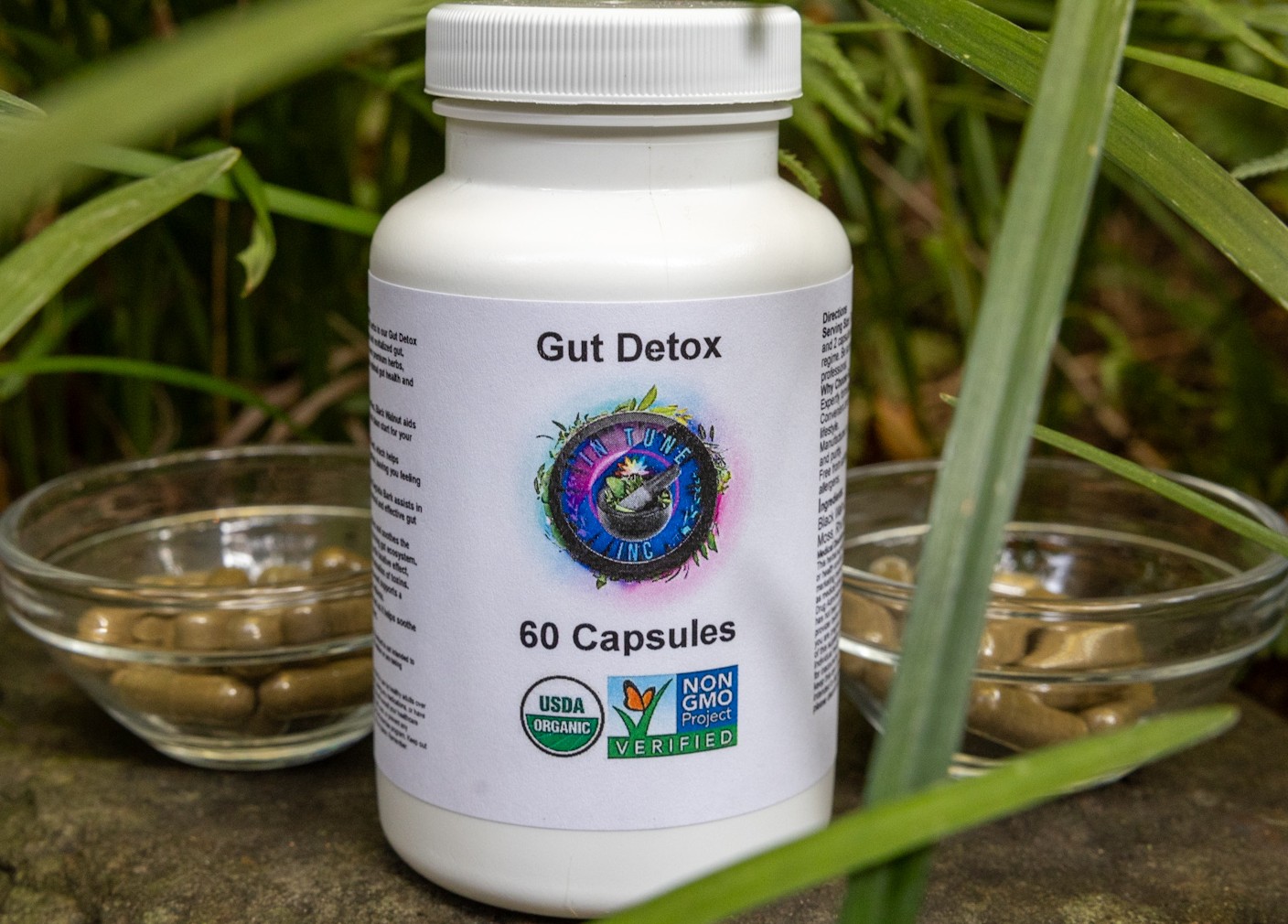 Gut Detox