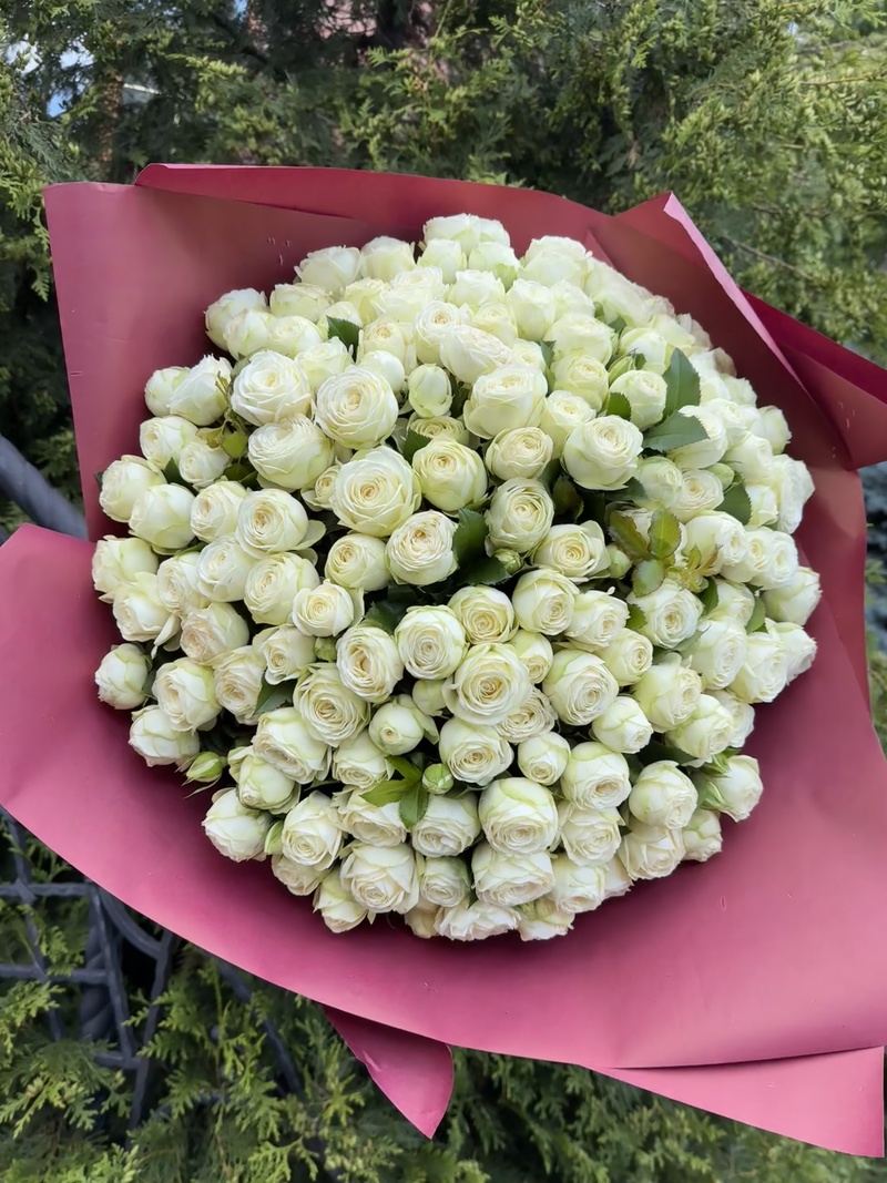 101 гілкова піоновидна троянда "Сноу Ворд"