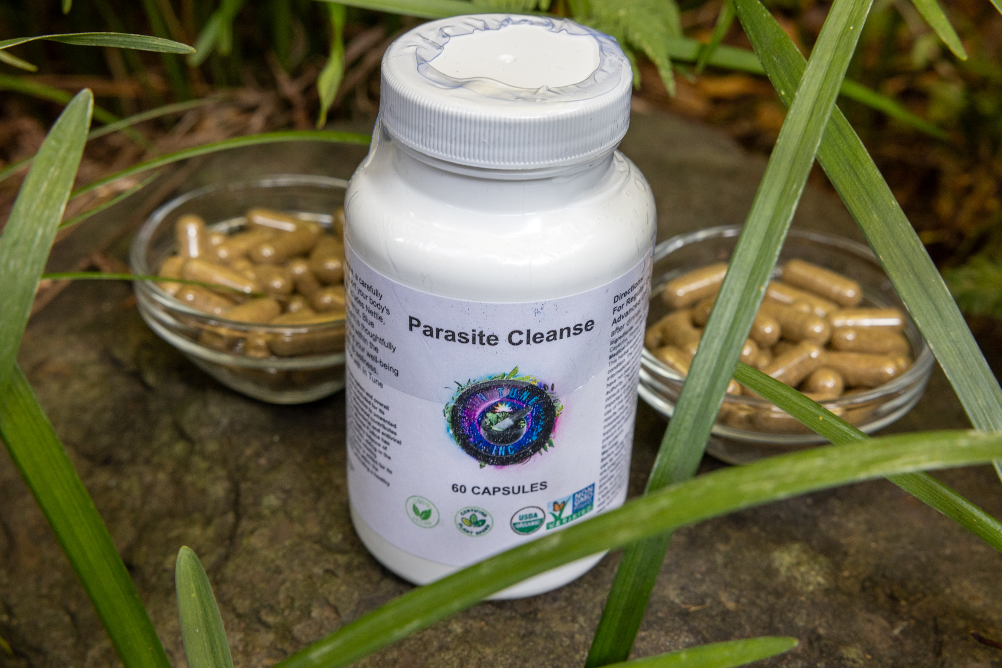 Parasite Cleanse