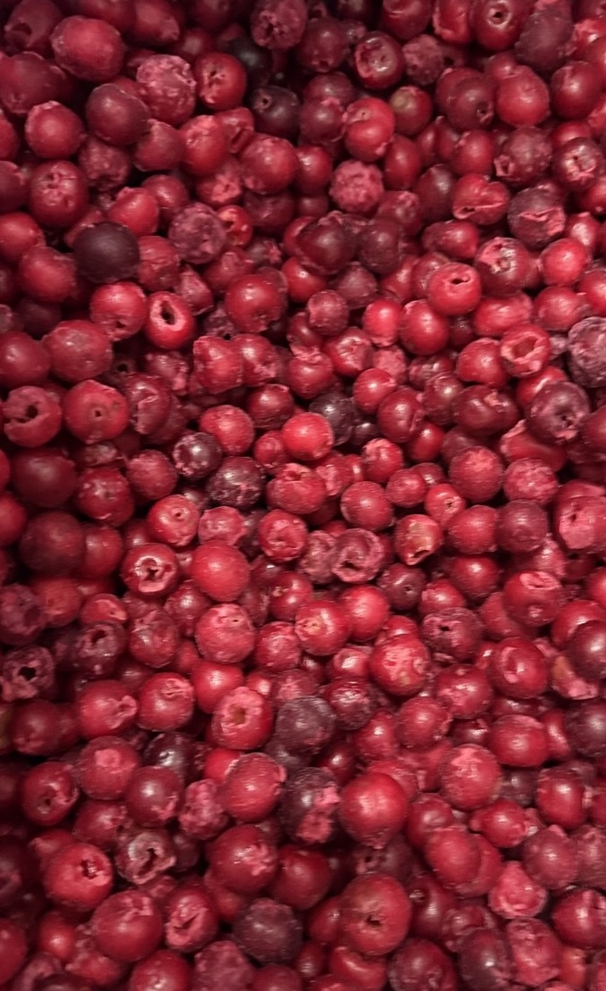 Frozen Sour Cherry Pitted