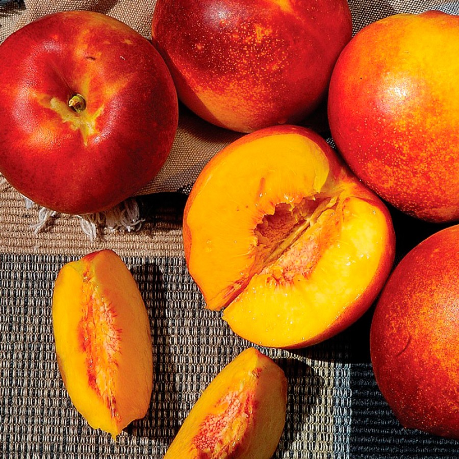 Нектарін Харко