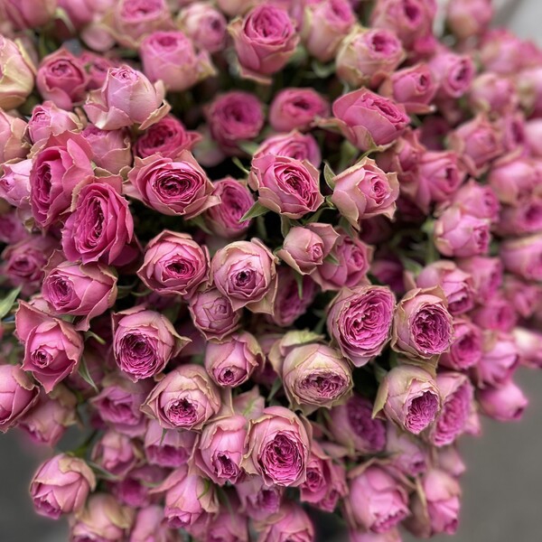 Пінк Біжу — Pink Bijoux