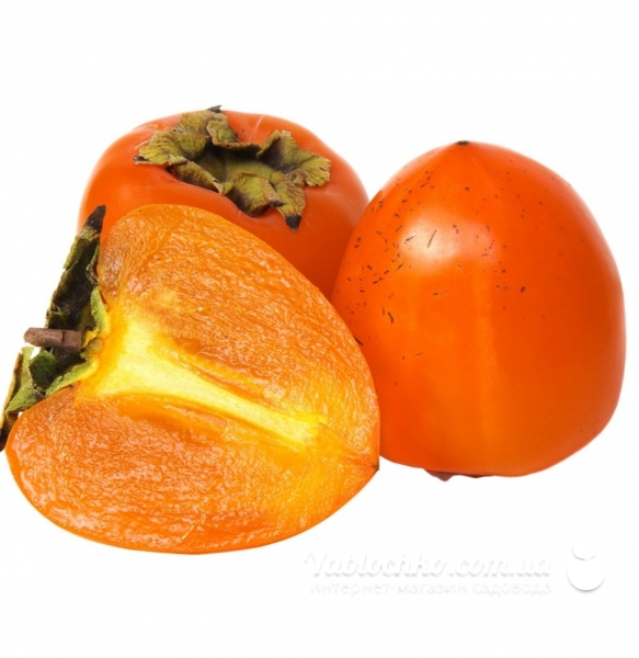 Хурма Хачія