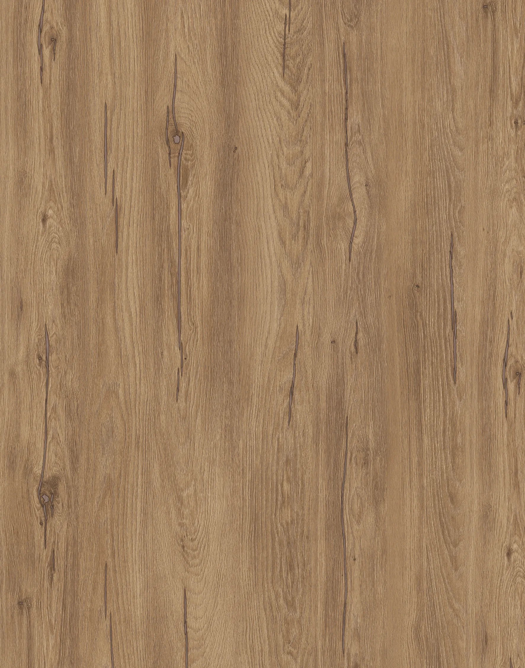 Дуб Сільверджек Горіховий