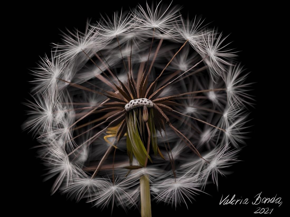 "Легкість буття". Авторський цифровий принт Валерії Бонди, надрукований на худі (унісекс)