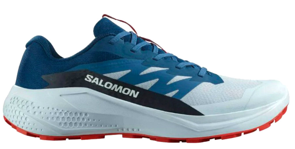 Чоловічі кросівки для бігу SALOMON ALPHAGLIDE (477243)