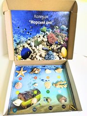 Колекція «Морське дно»