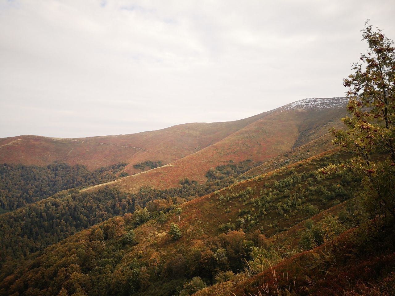 Тумани і Вершини Боржави