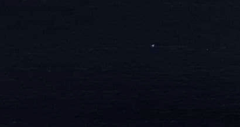 Дерев'яні жалюзі 25 мм Dark A11