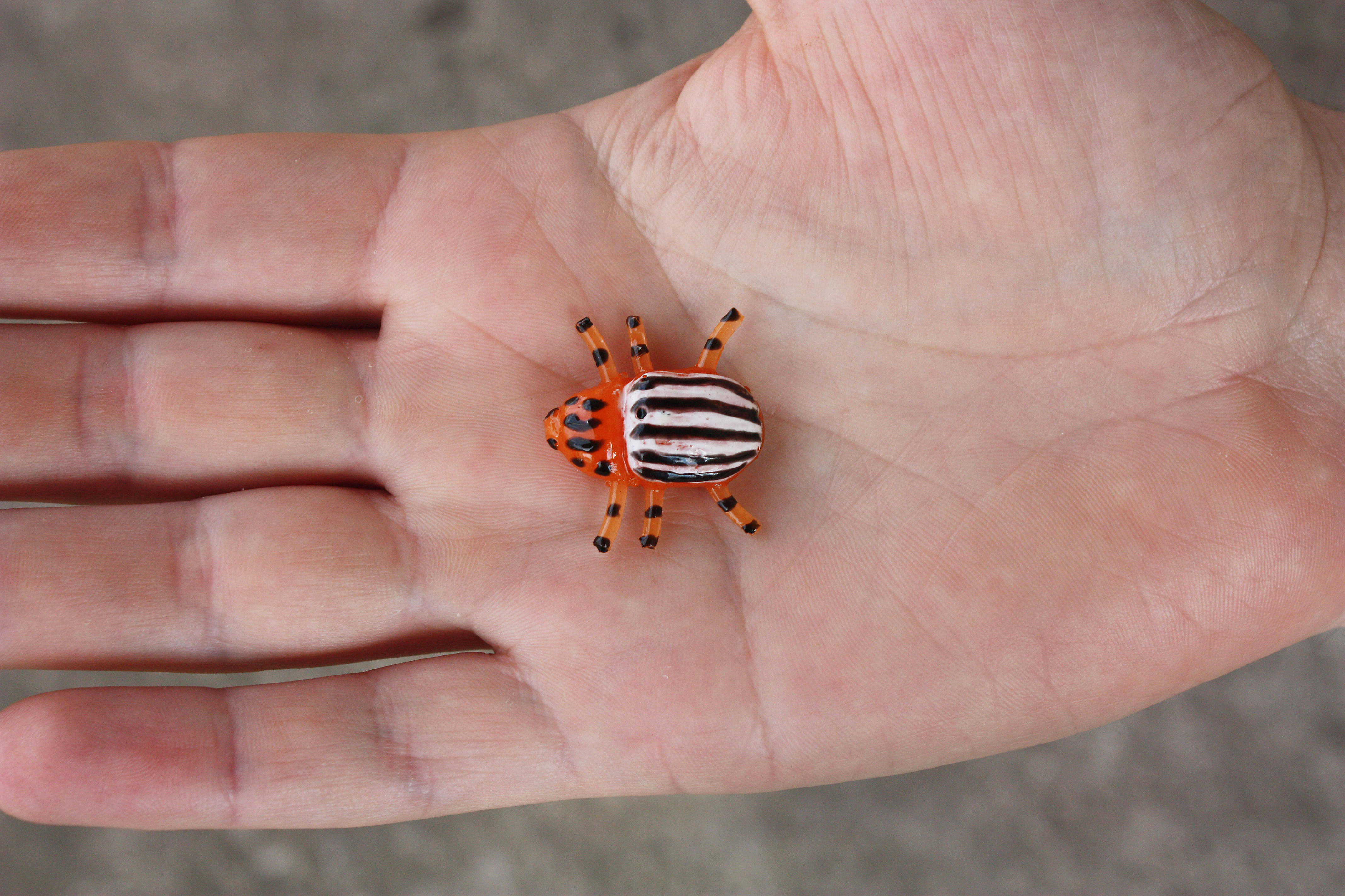 A&S Colorado Beetle 0.9
