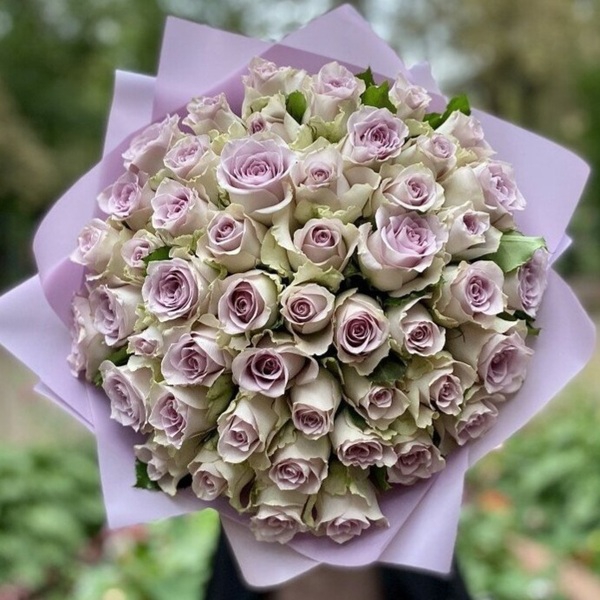 Морнінг Д’ю — Morning Dew