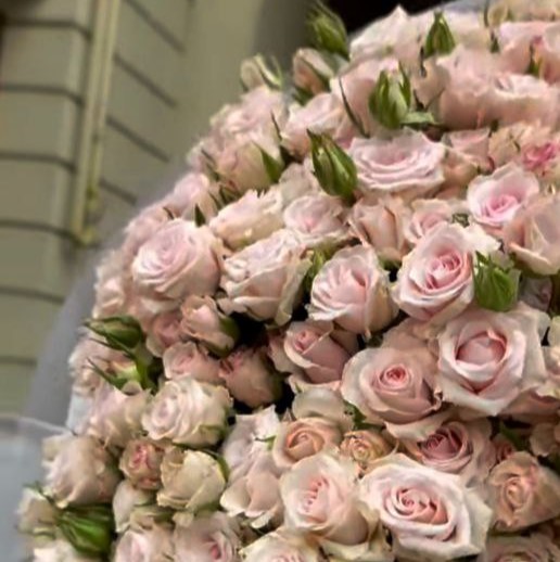 Світ Порцеляна (Sweet Porcelina)