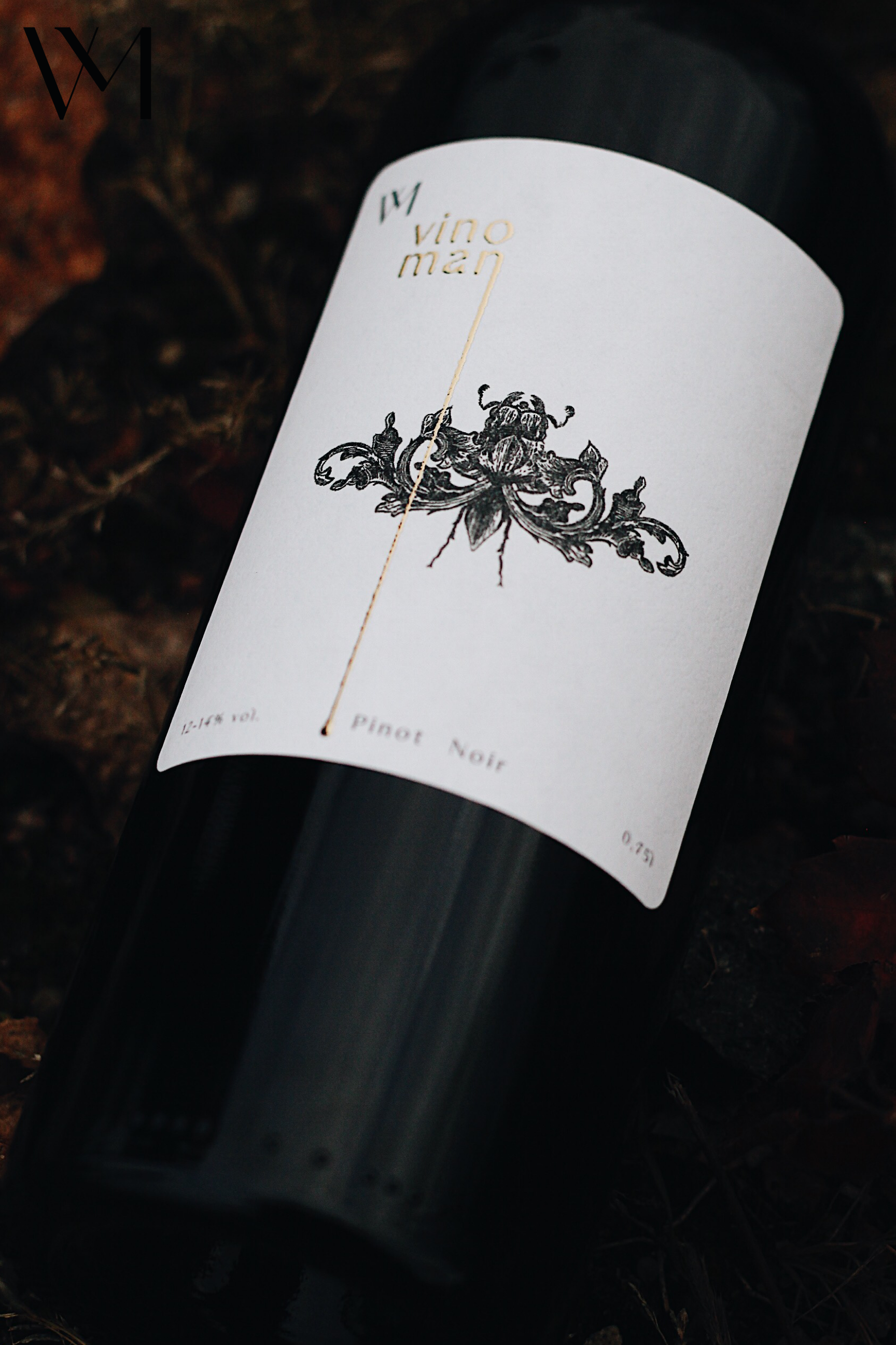 PINOT NOIR ordinary 2023