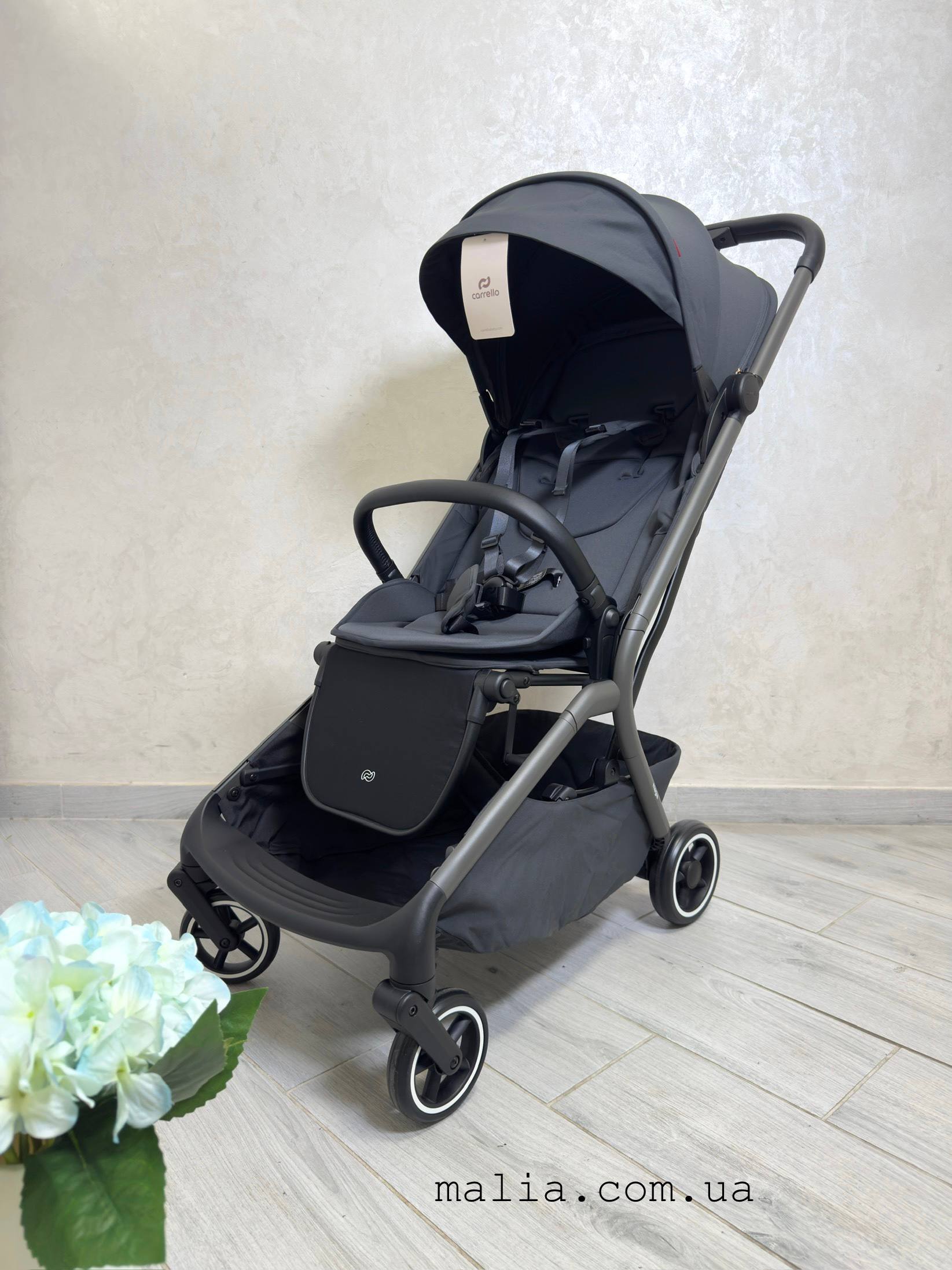 Прогулянкова коляска CARRELLO Magia CRL-5555 Elm Grey