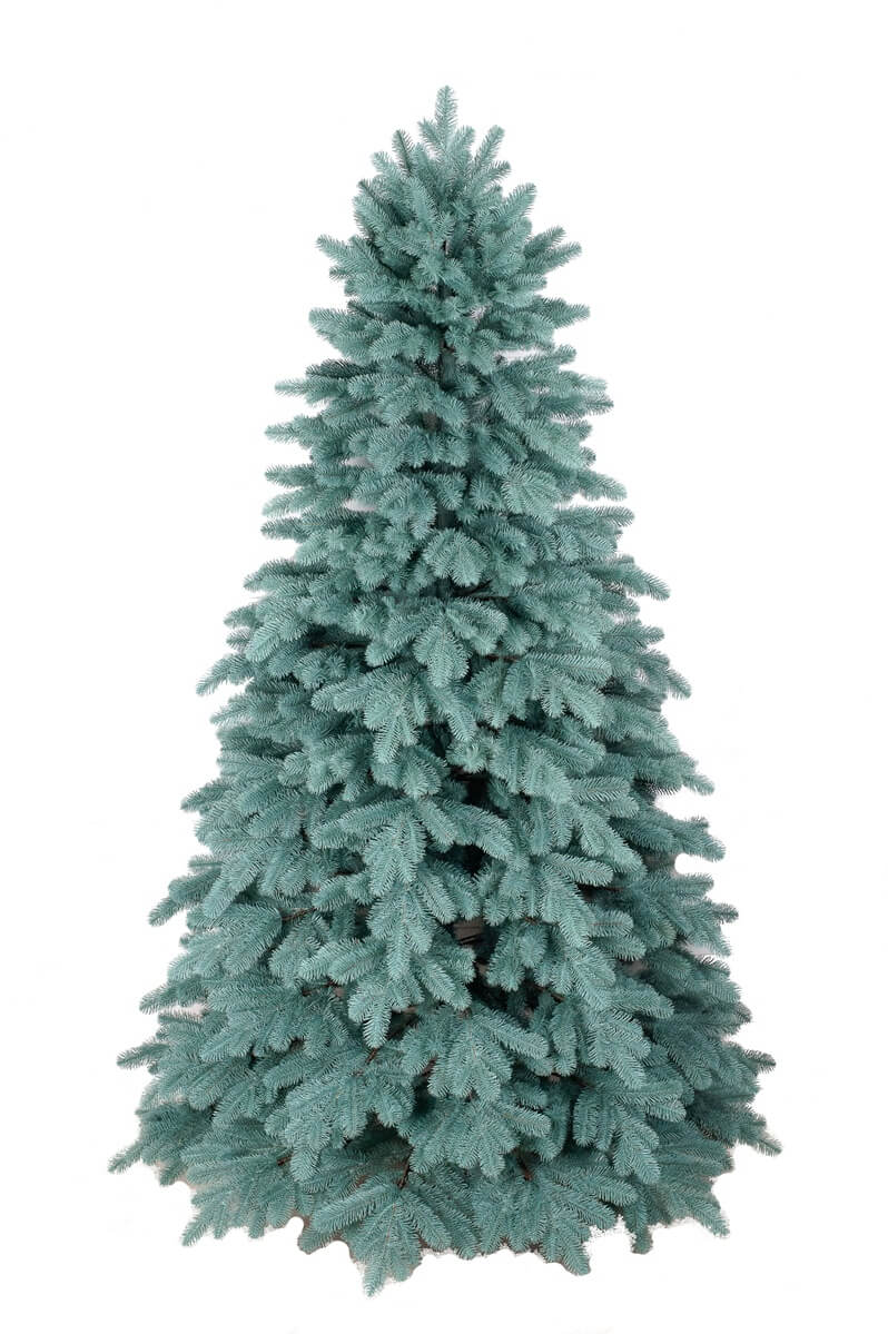 Ялинка «Альпійська» блакитна  KVAZAR