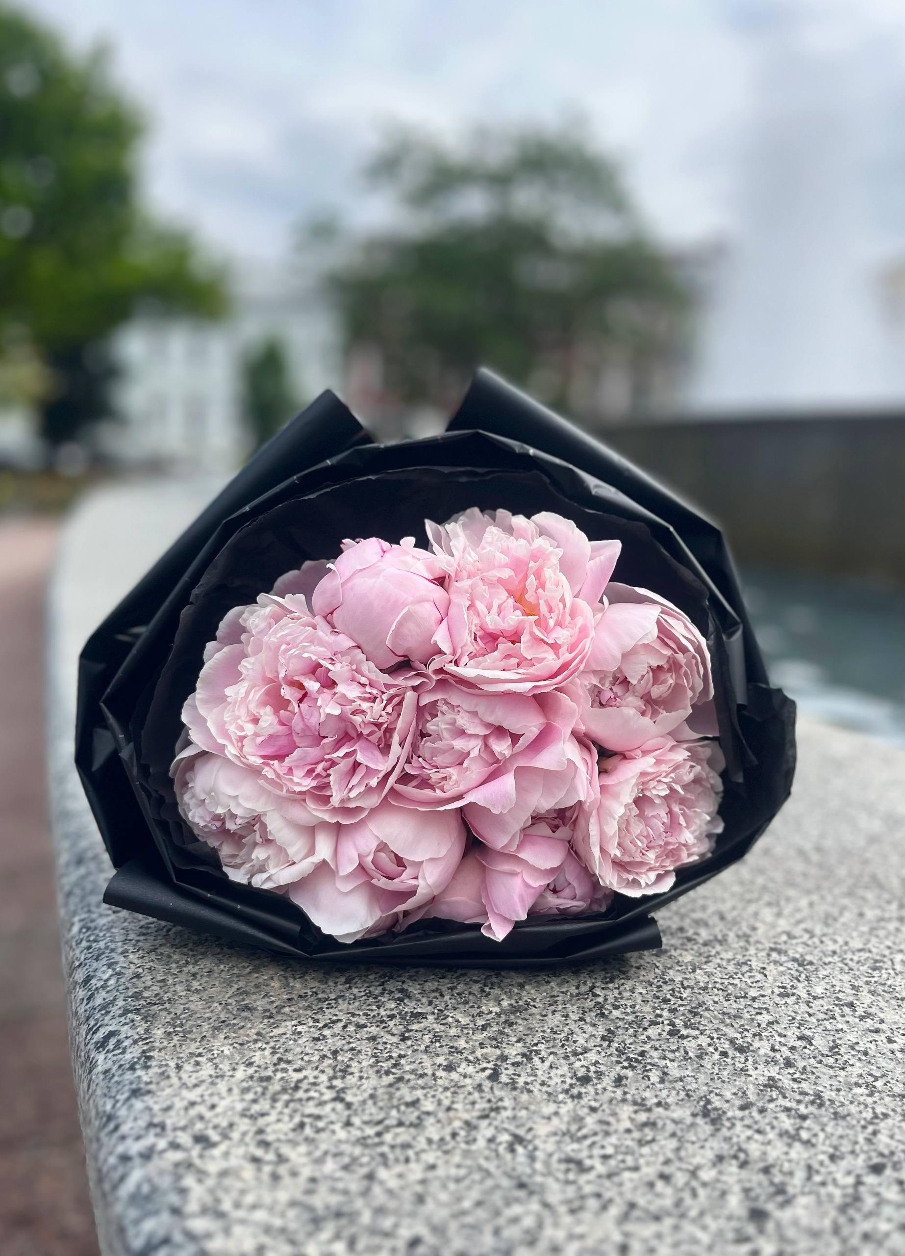 Pink Peony Affair 