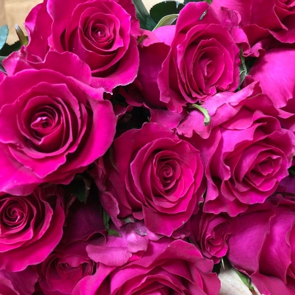 Готча — Gotcha