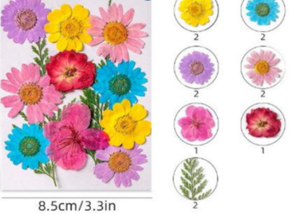 Dried Pressed Flowers ( 12 pcs pack )