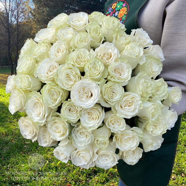 Мондіаль — Mondial