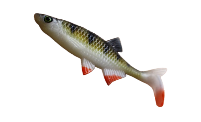 Alburnus Shad 4.2