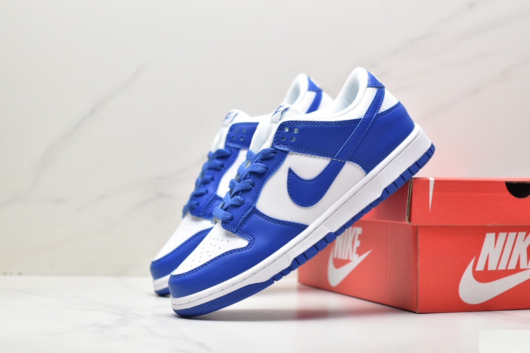 Nike SB Zoom Dunk Low DD1503-107