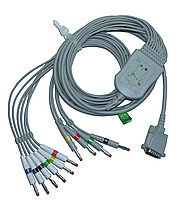 ECG Cable (10 lead)