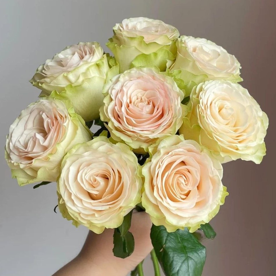 Динамік (Dynamic)