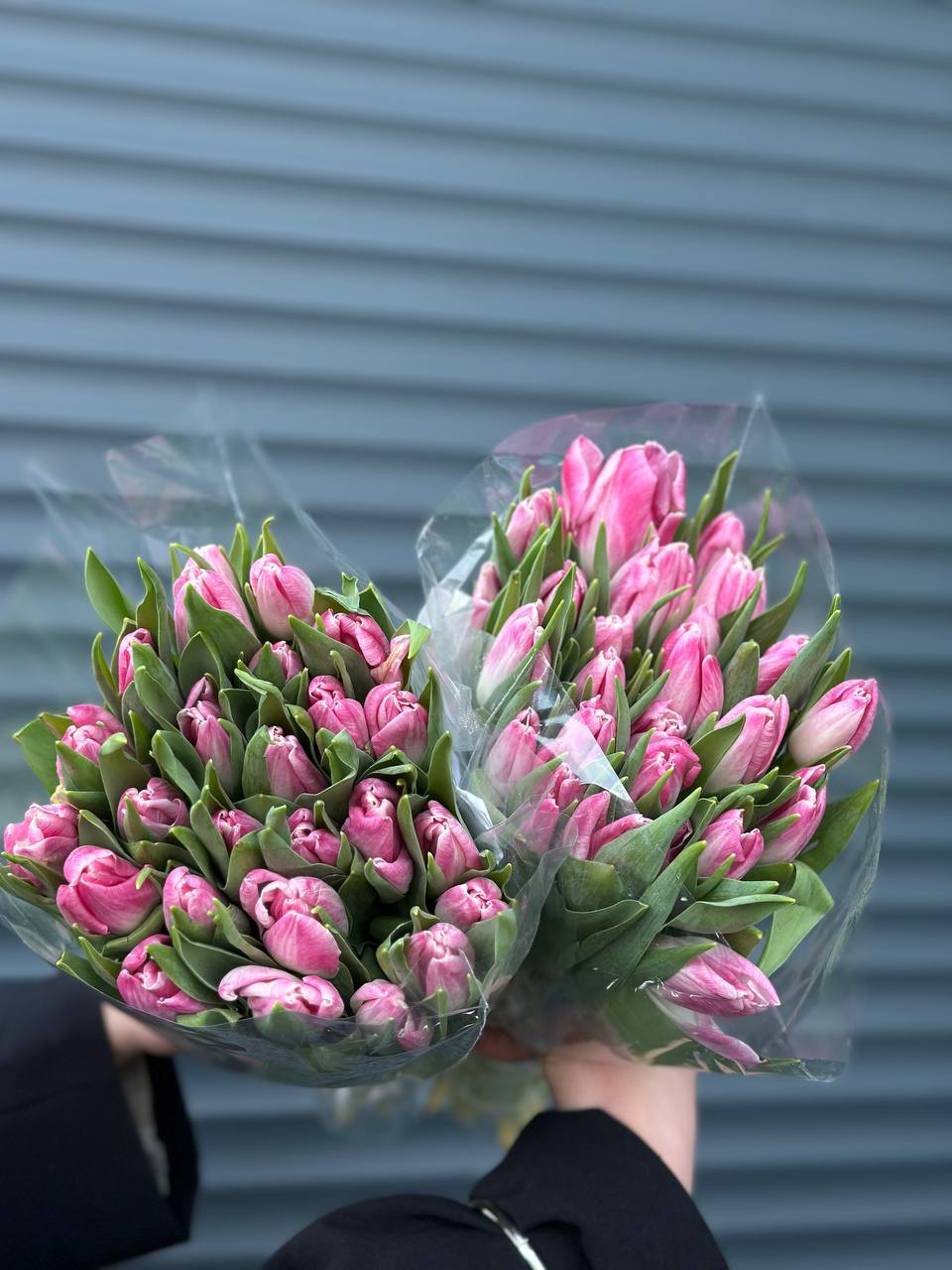 Тюльпан рожевий Польща 40-45см