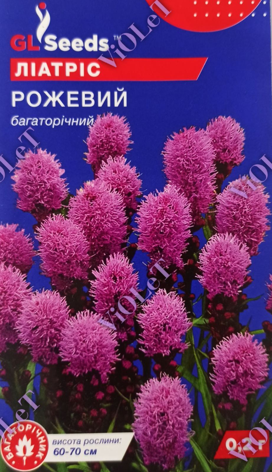 Ліатріс Рожевий багаторічний, 0,2 г GL Seeds