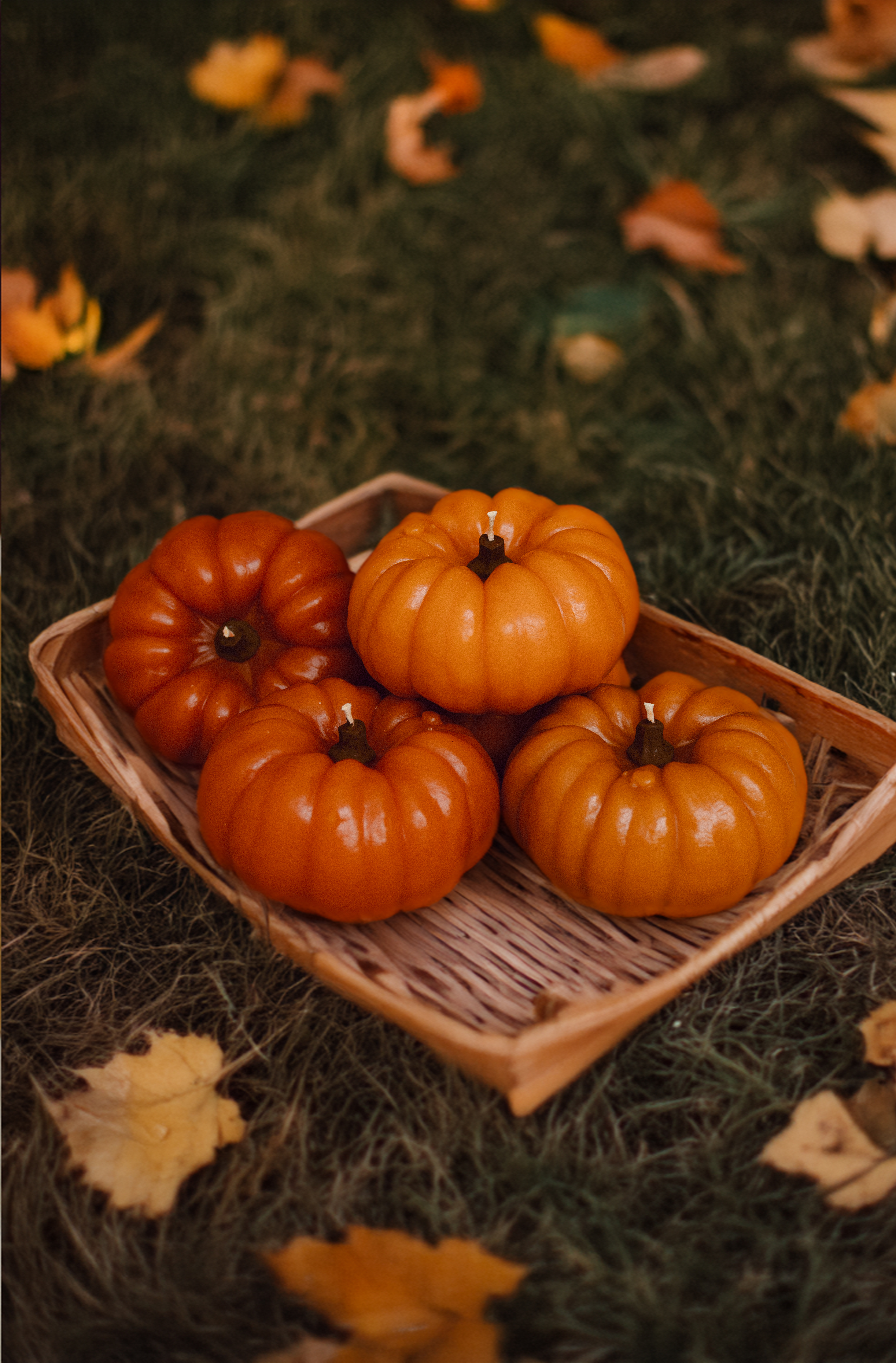 Свічка "Гарбуз М"