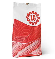 Насіння кукурудзи LG 31284 Limagrain ФАО 280 Кукурудза високої врожайності