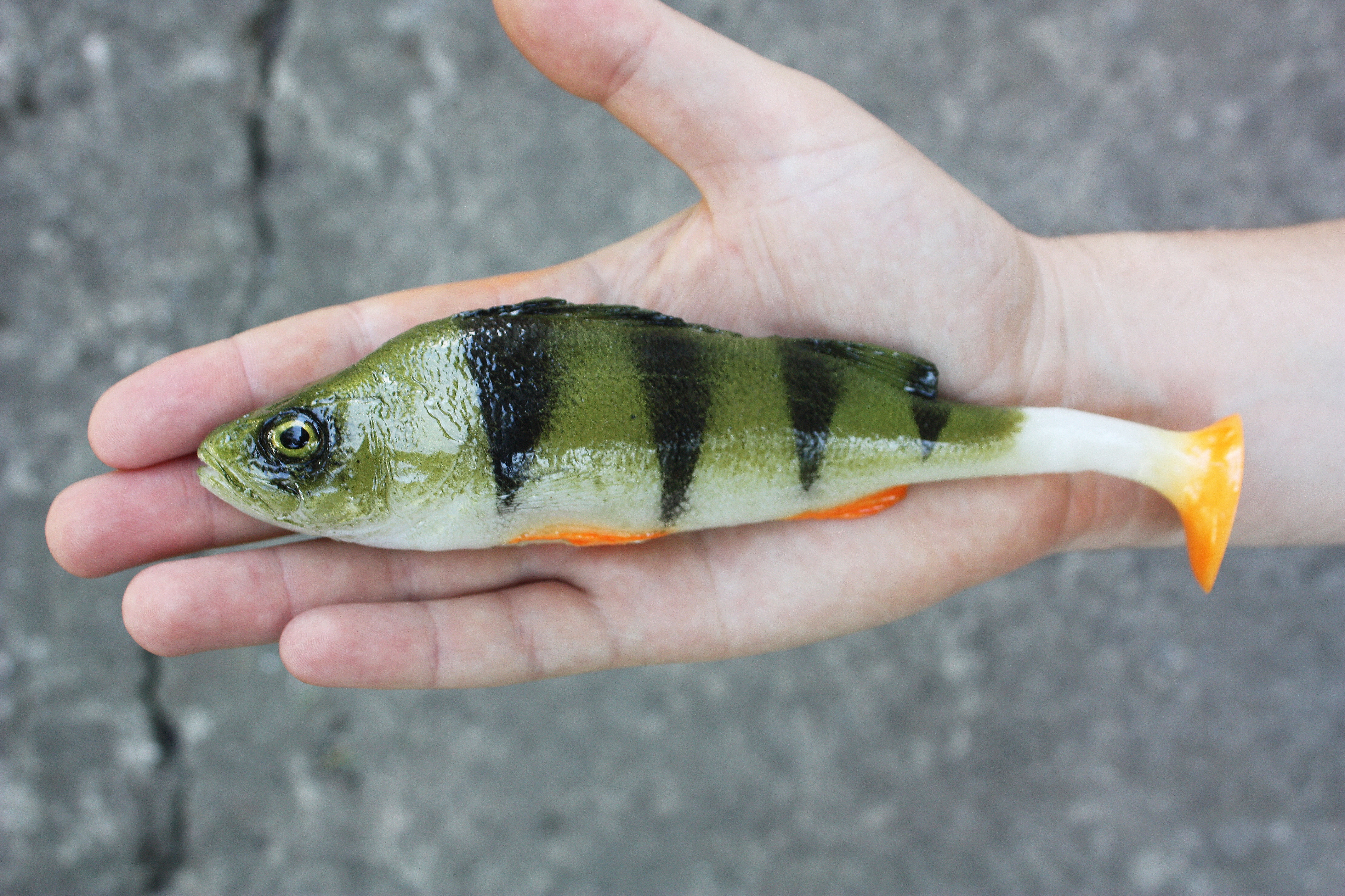 A&S Boss Perch 7.5