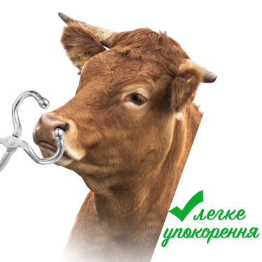 Щипці носові для фіксації великої худоби за носову перегородку (з мотузкою)