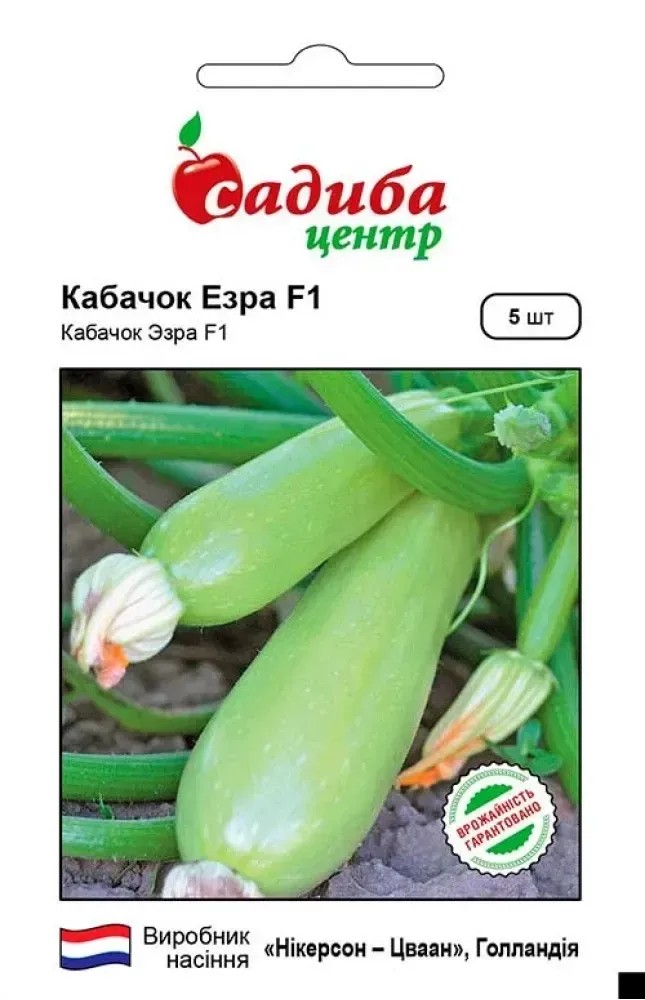 Кабачок Езра F1, 5 шт., СЦ