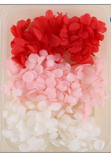 Dried Hydrangea ( 5gm )