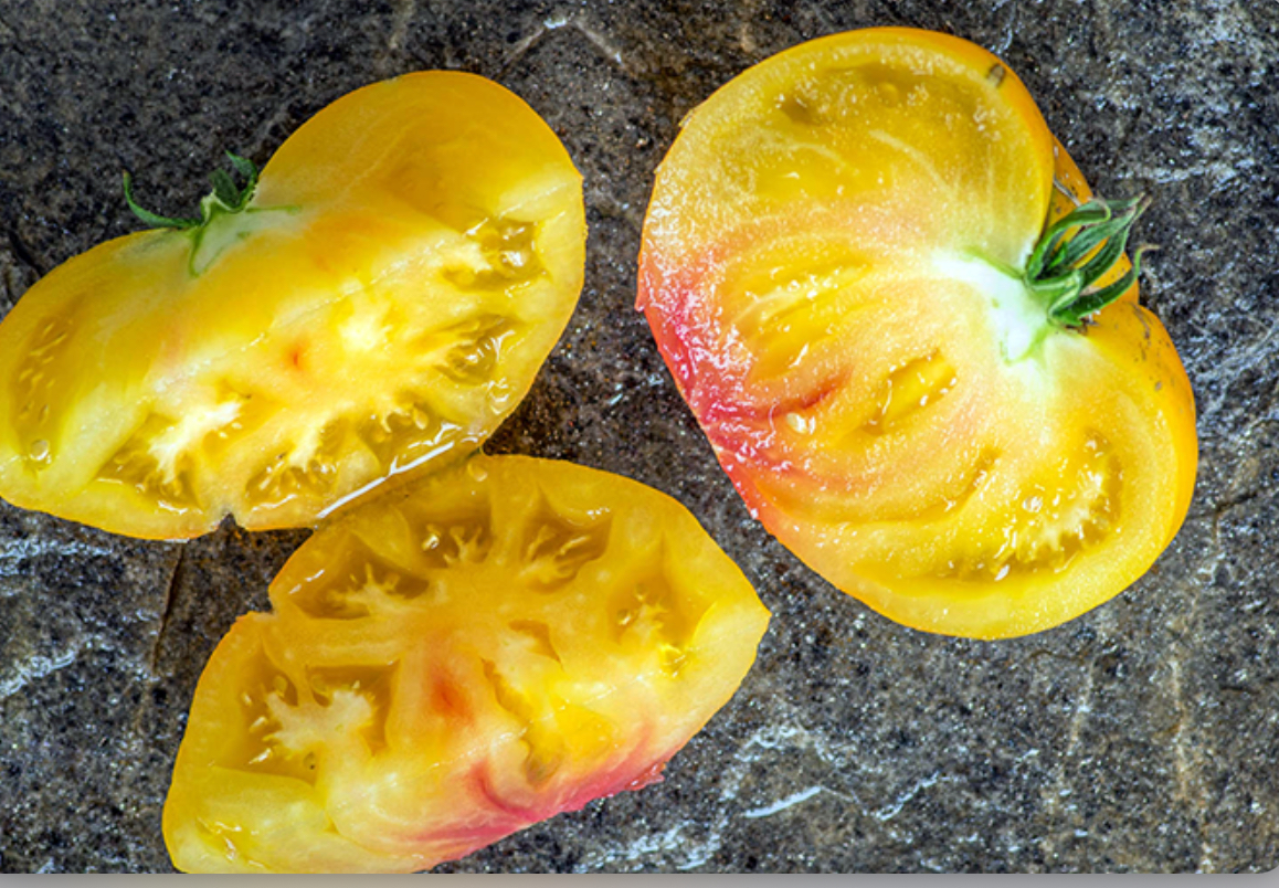 Помідор жовтий пухнастий аа банан 25 насінин