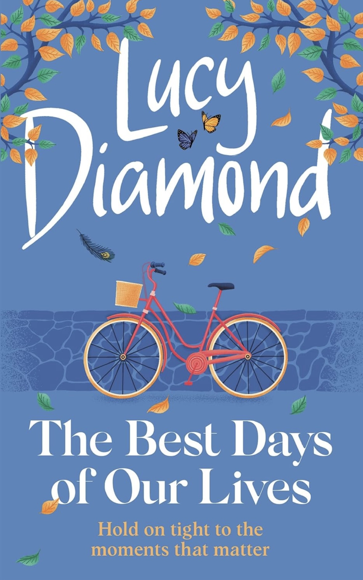 The Best Days of Our Lives Lucy Diamond