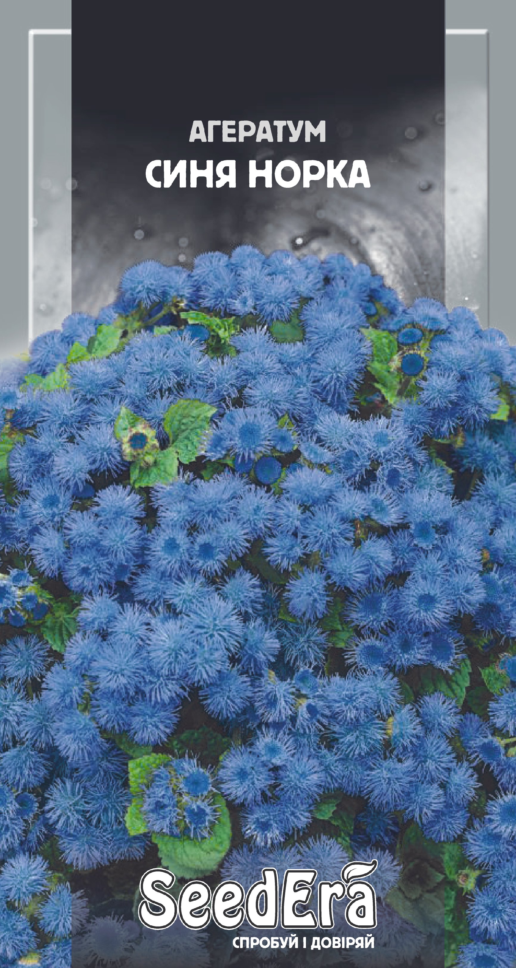 Насіння Квіти Агератум Синя норка, 0,2 г