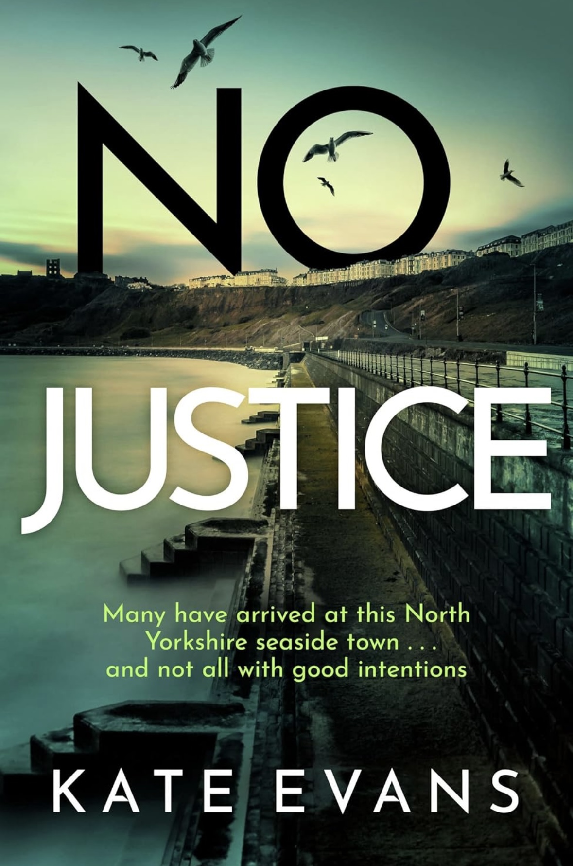 No Justice Kate Evans