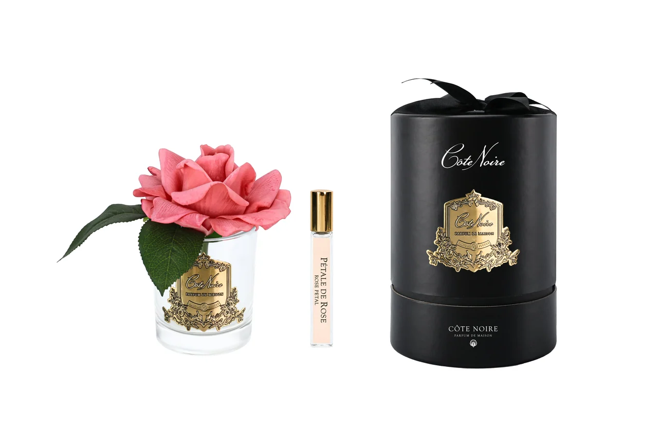 Аромаквіти Cote Noire French Rose Peach & Clear Glass - ароматична персикова троянда у прозорій скляній вазі