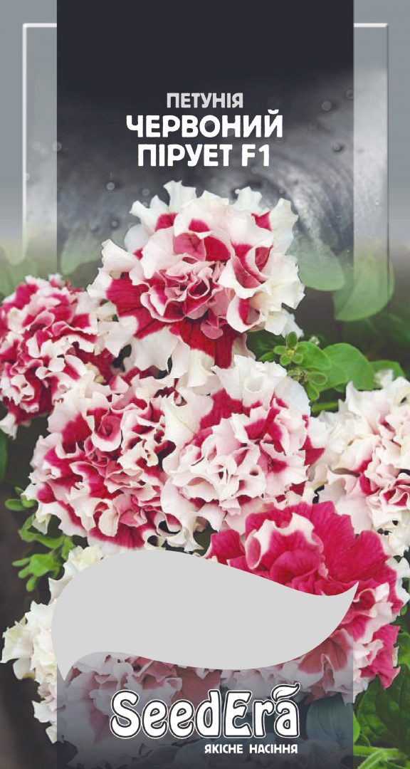 Hасіння Квіти Петунія бахромчаста великоквіткова Пірует Червоний F1, 10 шт