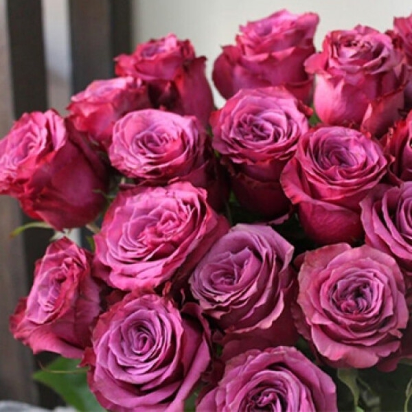 Блюберрі — Blueberry