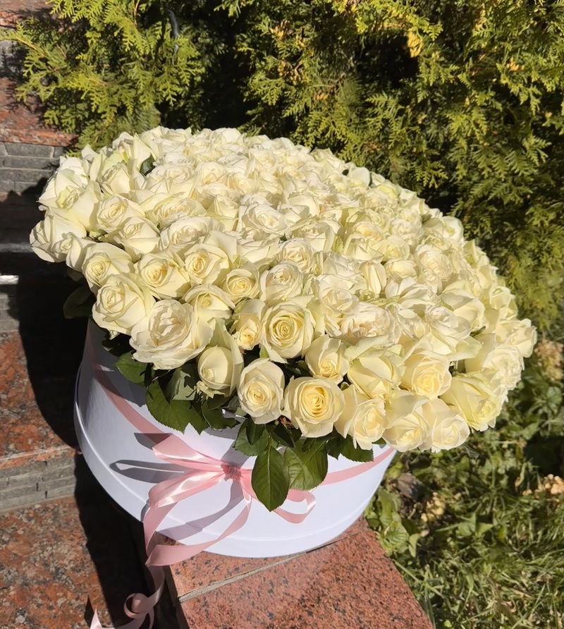 Композиція в коробці з 151 білої троянди "Аваланч"