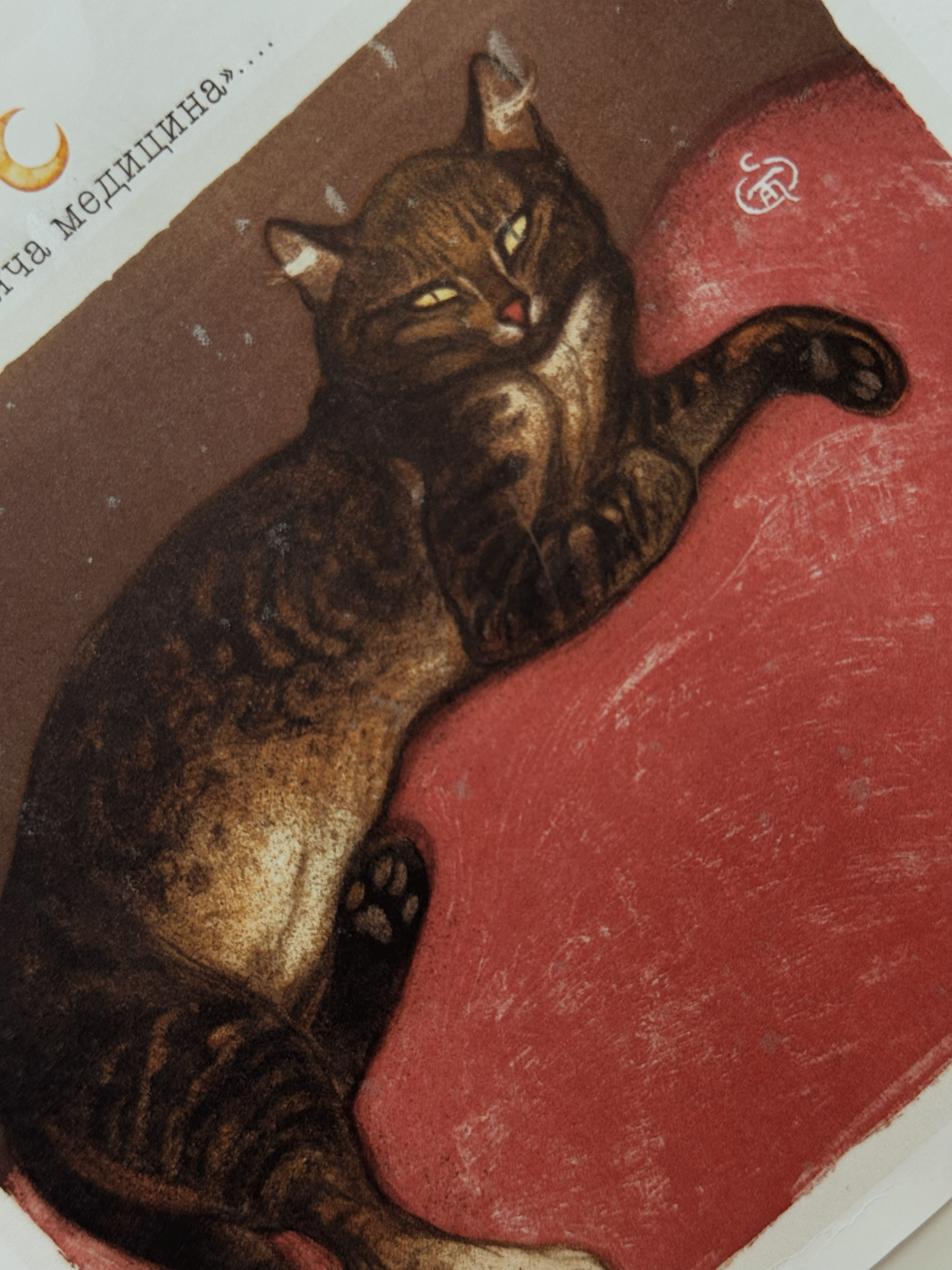 Міні-етюд № 38