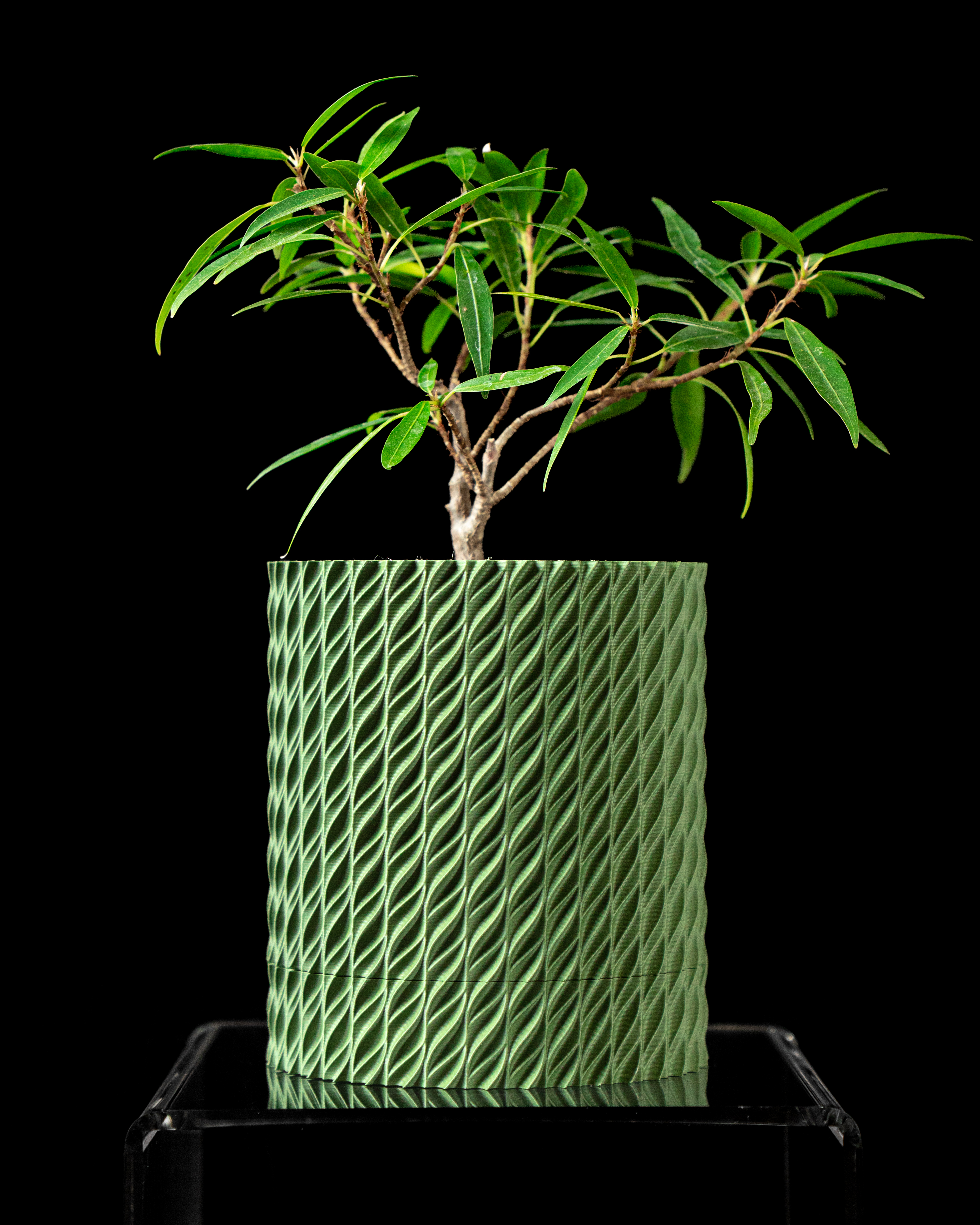 Flow Planter Pot – Modern 3D Printed Planter