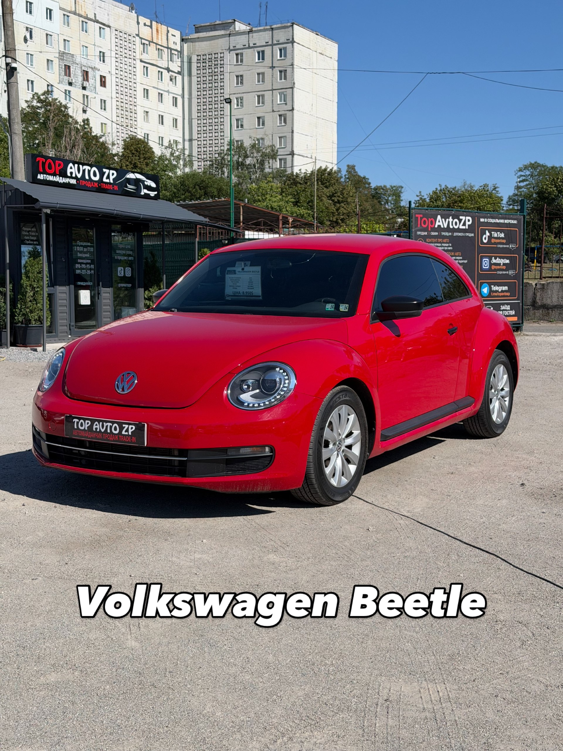 Volkaswagen Beetle